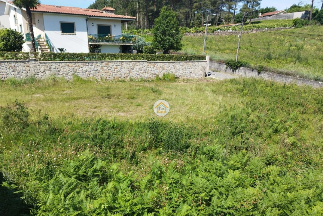 Terreno para Venda em Varzea Foto 5