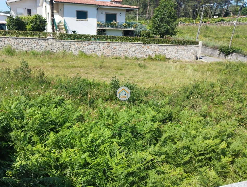 Terreno para Venda em Varzea Foto 7