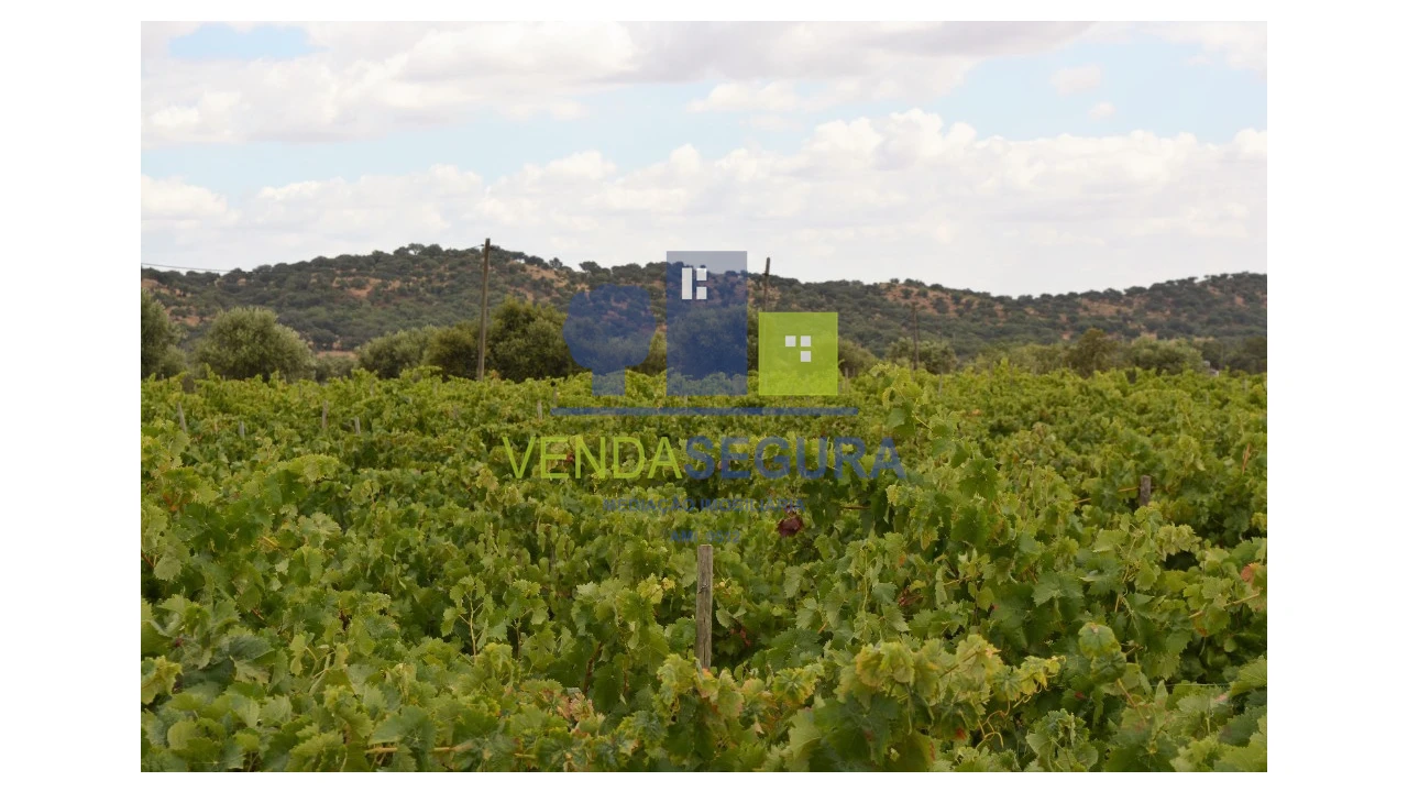 Terreno para Venda em Vila de Frades Foto 2