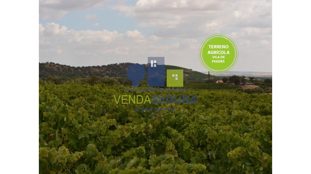 Terreno para Venda em Vila de Frades Foto 1