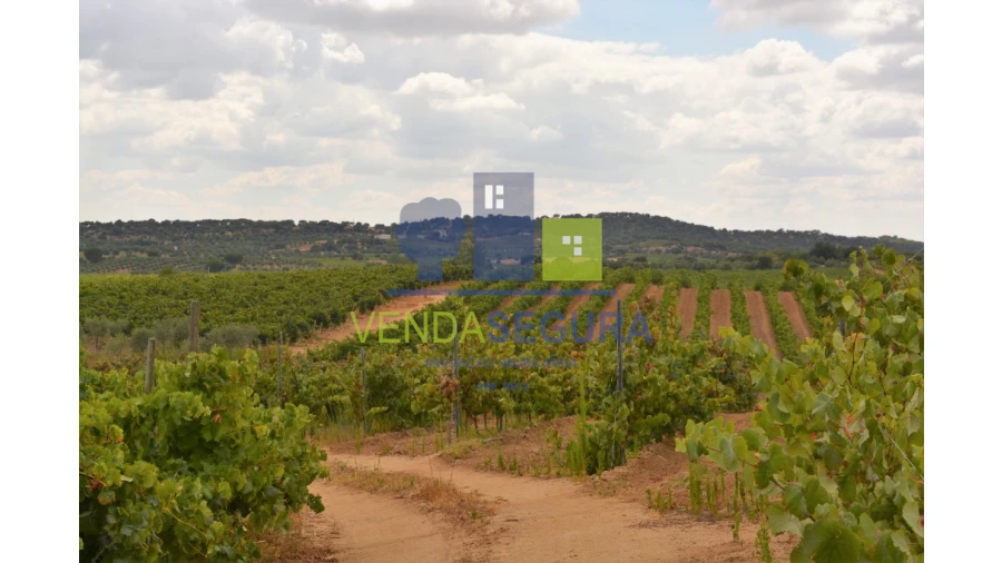 Terreno para Venda em Vila de Frades Foto 3