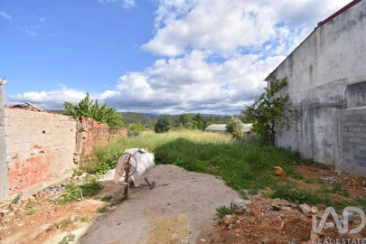Moradia para Venda em Semide e Rio Vide