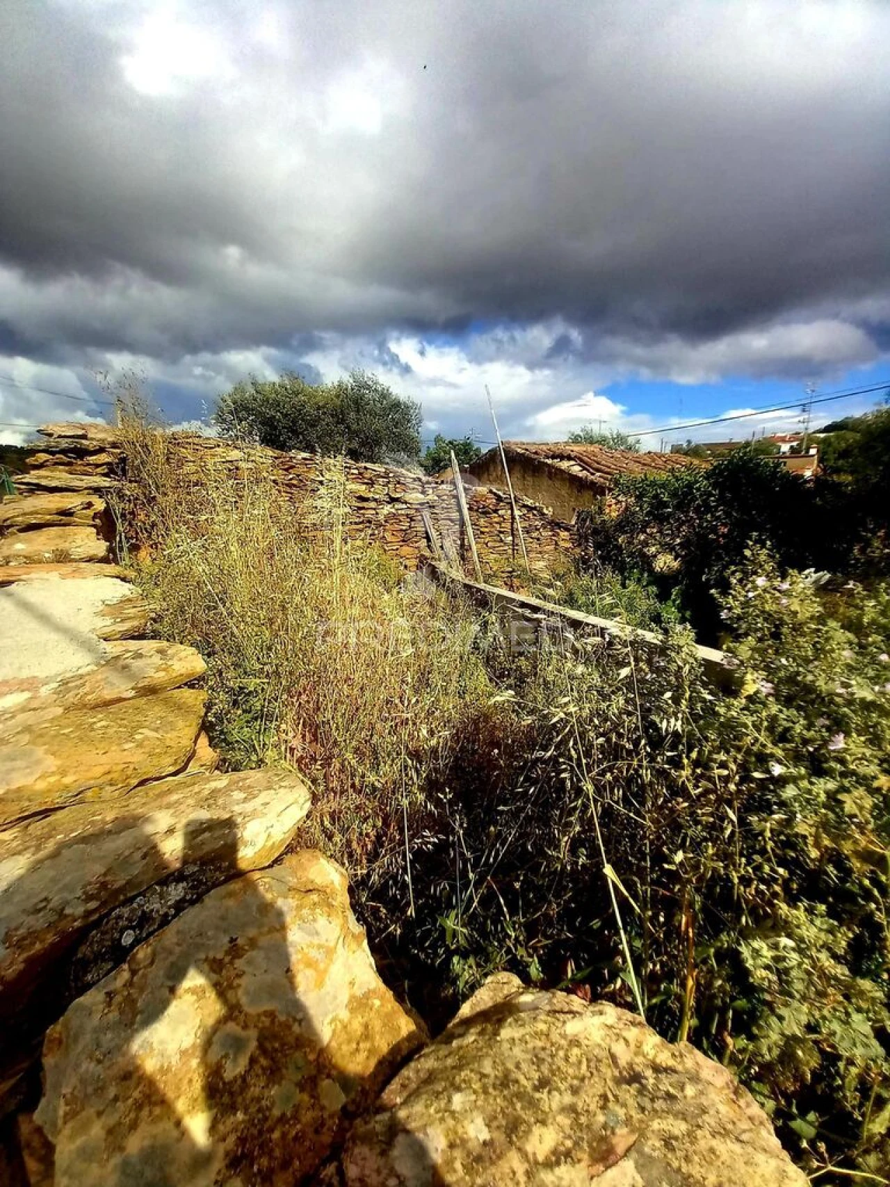 Quinta T1 para Venda em Nossa Senhora da Conceição, São Brás dos Matos, Juromenha Foto 5