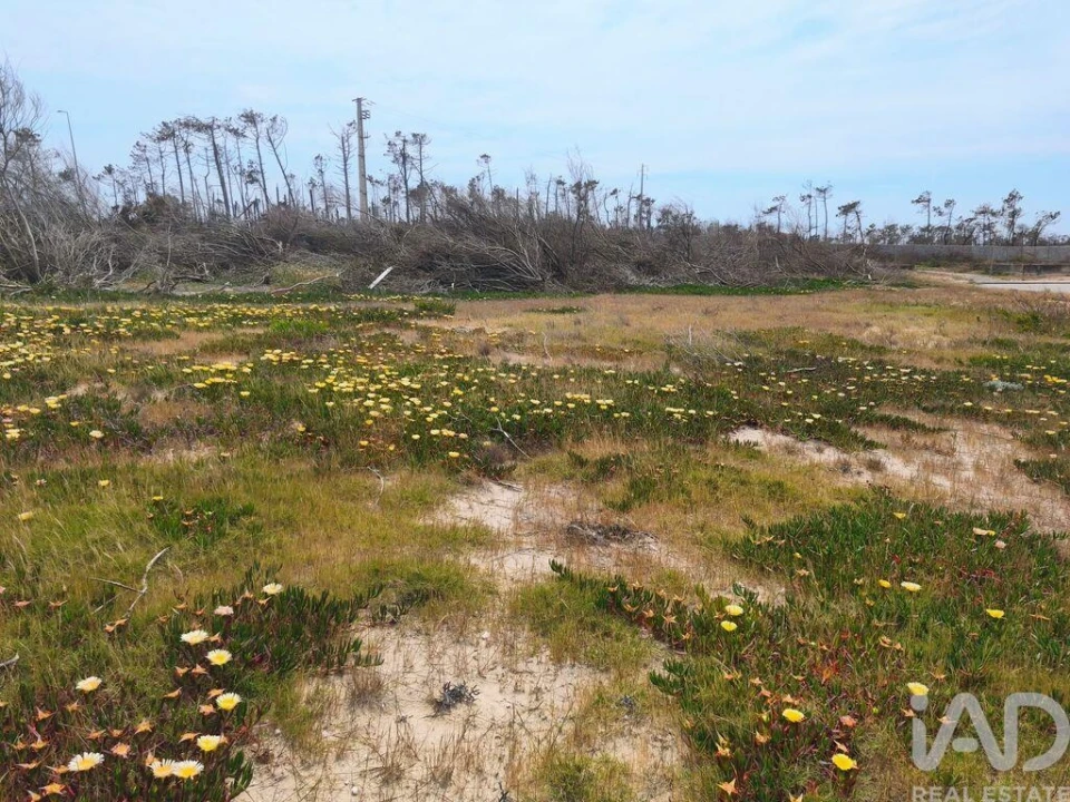 Terreno para Venda em Pataias e Martingança Foto 12
