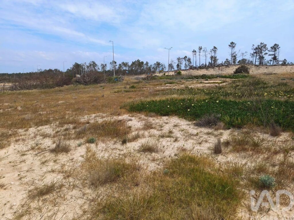 Terreno para Venda em Pataias e Martingança Foto 11