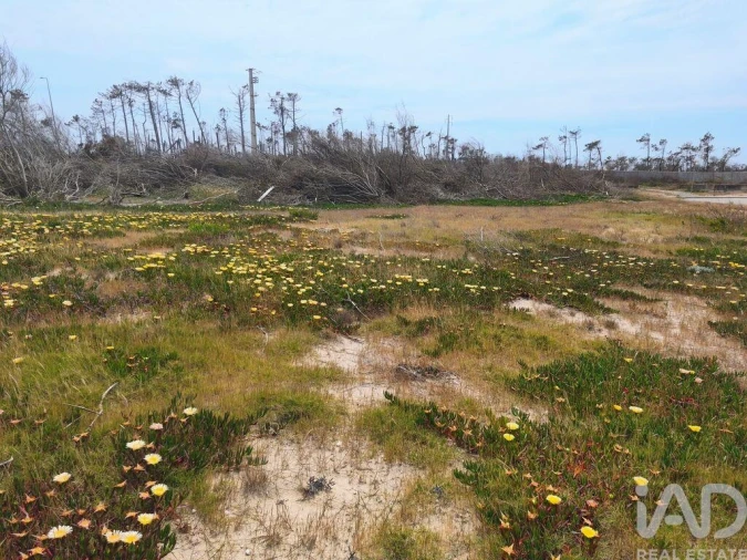 Terreno para Venda em Pataias e Martingança Foto 12