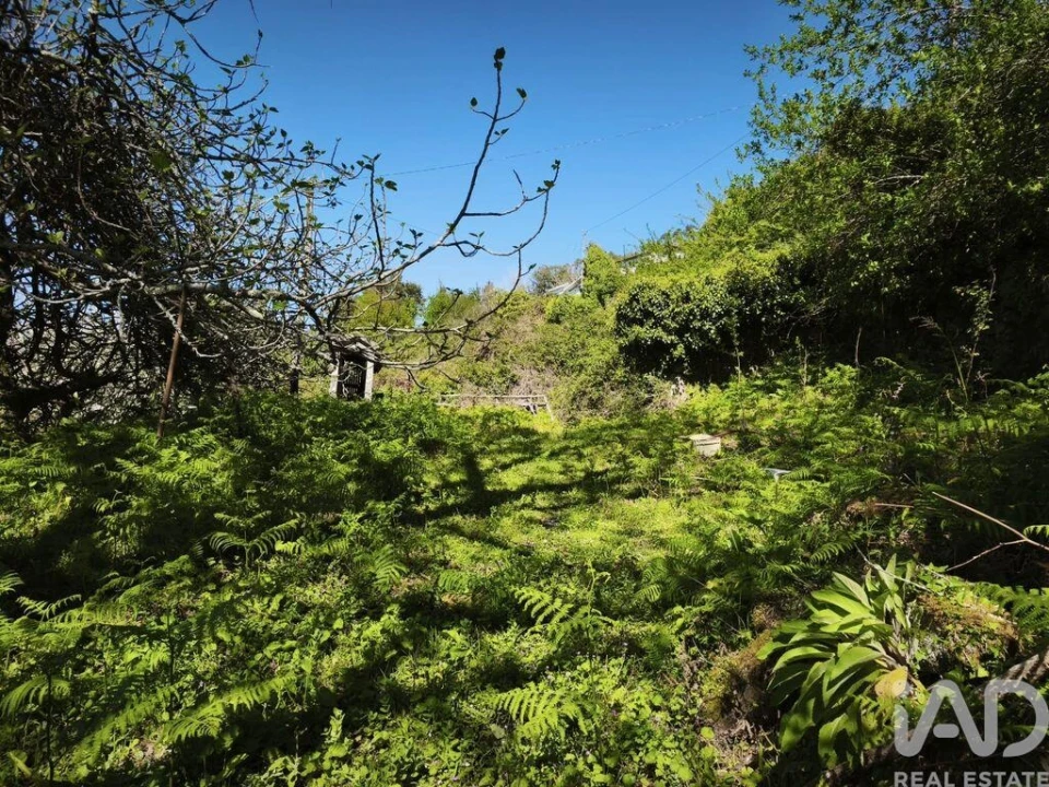 Moradia T4 para Venda em Cerdal Foto 6