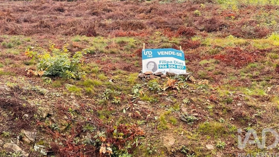 Terreno para Venda em Alvarenga Foto 2