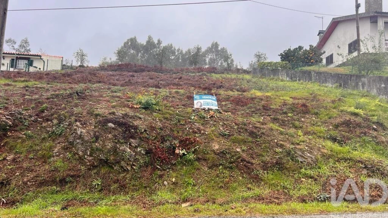 Terreno para Venda em Alvarenga Foto 3
