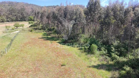Terreno para Venda em Alfeizerão