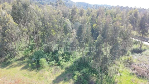 Terreno para Venda em Alfeizerão