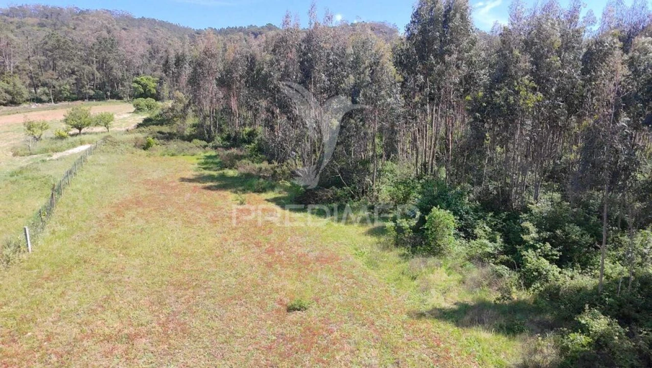 Terreno para Venda em Alfeizerão Foto 10