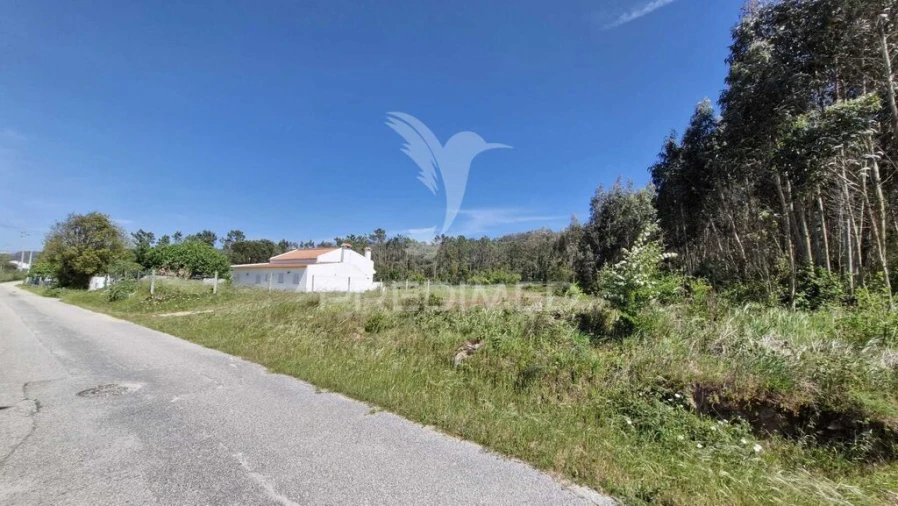 Terreno para Venda em Alfeizerão Foto 3