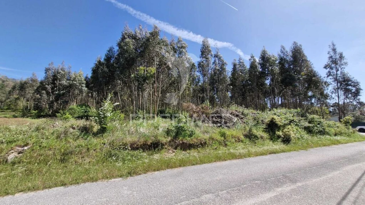 Terreno para Venda em Alfeizerão Foto 2