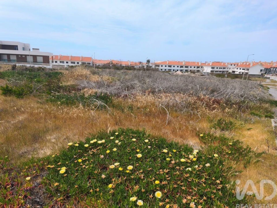 Terreno para Venda em Pataias e Martingança Foto 2