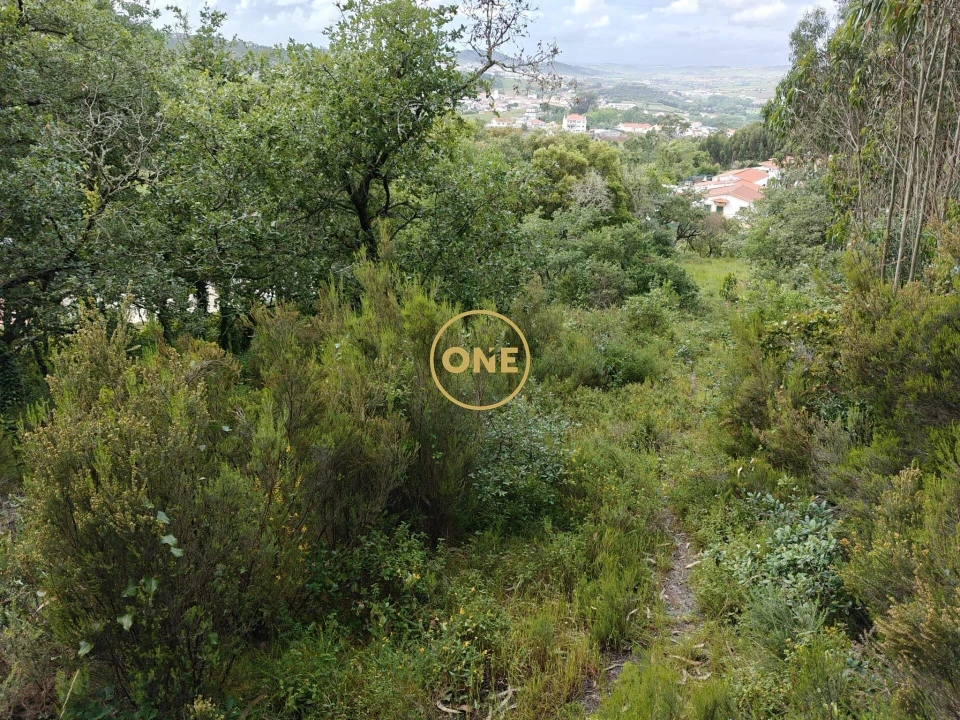 Terreno para Venda em Enxara do Bispo, Gradil e Vila Franca do Rosário Foto 11