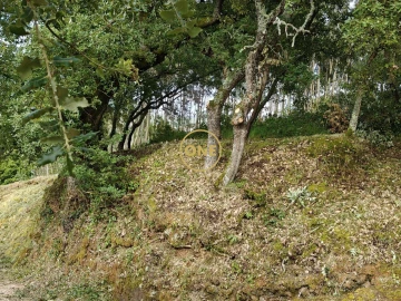 Terreno para Venda em Enxara do Bispo, Gradil e Vila Franca do Rosário