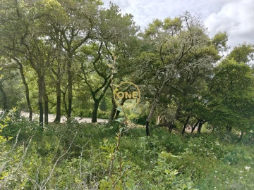Terreno para Venda em Enxara do Bispo, Gradil e Vila Franca do Rosário