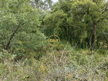 Terreno para Venda em Enxara do Bispo, Gradil e Vila Franca do Rosário