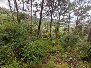 Terreno para Venda em Enxara do Bispo, Gradil e Vila Franca do Rosário