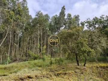 Terreno para Venda em Enxara do Bispo, Gradil e Vila Franca do Rosário