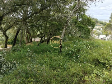 Terreno para Venda em Enxara do Bispo, Gradil e Vila Franca do Rosário
