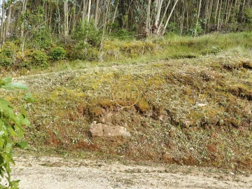 Terreno para Venda em Enxara do Bispo, Gradil e Vila Franca do Rosário
