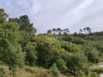 Terreno para Venda em Enxara do Bispo, Gradil e Vila Franca do Rosário