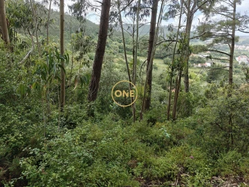 Terreno para Venda em Enxara do Bispo, Gradil e Vila Franca do Rosário