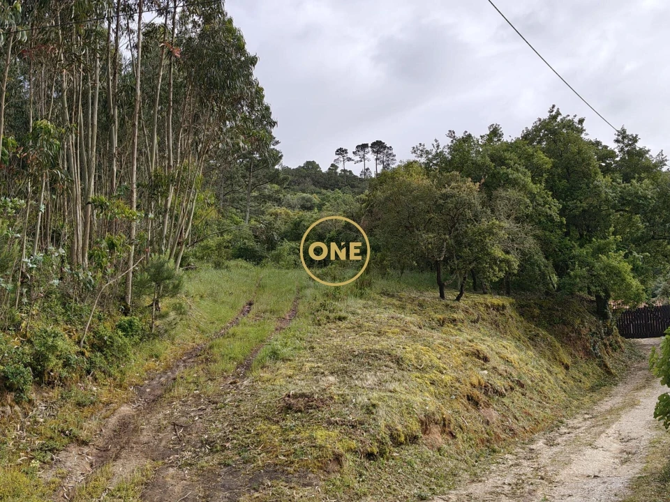 Terreno para Venda em Enxara do Bispo, Gradil e Vila Franca do Rosário Foto 29