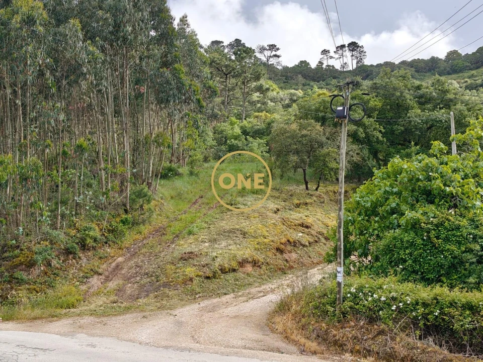 Terreno para Venda em Enxara do Bispo, Gradil e Vila Franca do Rosário Foto 2
