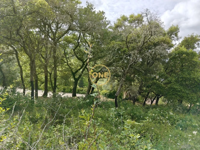 Terreno para Venda em Enxara do Bispo, Gradil e Vila Franca do Rosário Foto 16