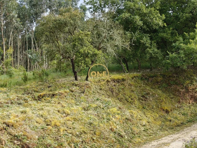 Terreno para Venda em Enxara do Bispo, Gradil e Vila Franca do Rosário Foto 25