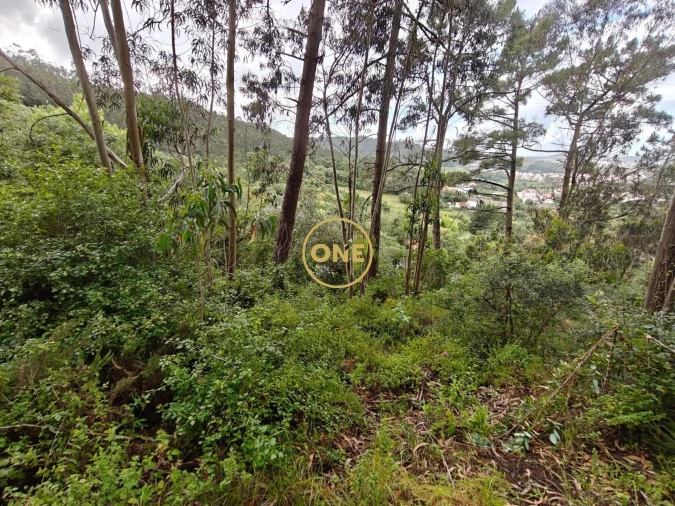 Terreno para Venda em Enxara do Bispo, Gradil e Vila Franca do Rosário Foto 22