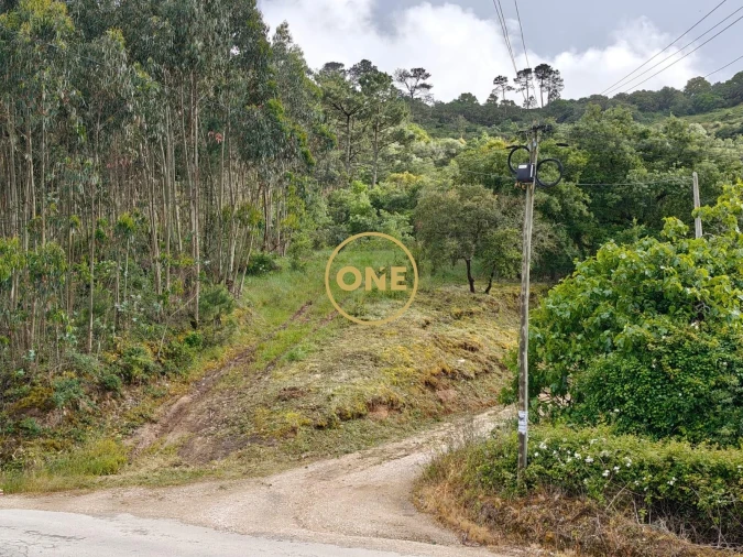 Terreno para Venda em Enxara do Bispo, Gradil e Vila Franca do Rosário Foto 2
