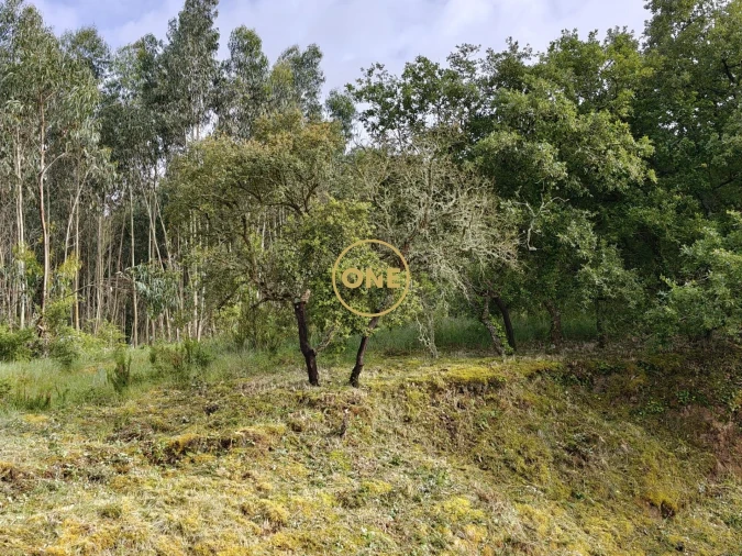 Terreno para Venda em Enxara do Bispo, Gradil e Vila Franca do Rosário Foto 24