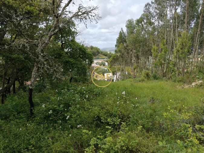 Terreno para Venda em Enxara do Bispo, Gradil e Vila Franca do Rosário Foto 9