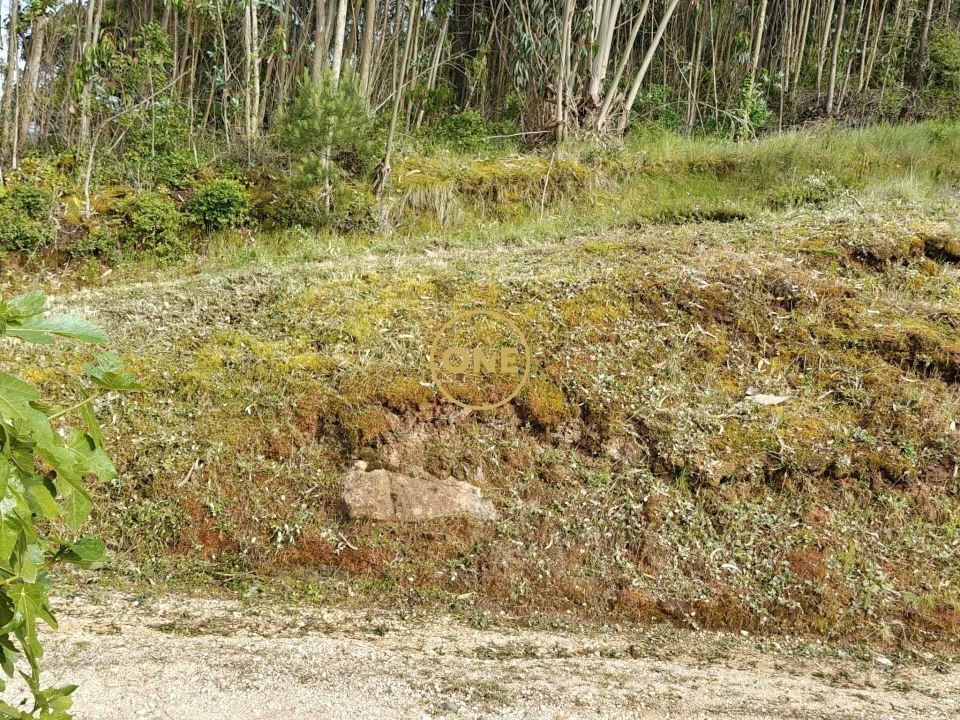 Terreno para Venda em Enxara do Bispo, Gradil e Vila Franca do Rosário Foto 28