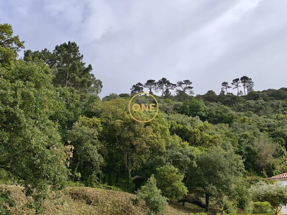 Terreno para Venda em Enxara do Bispo, Gradil e Vila Franca do Rosário Foto 21
