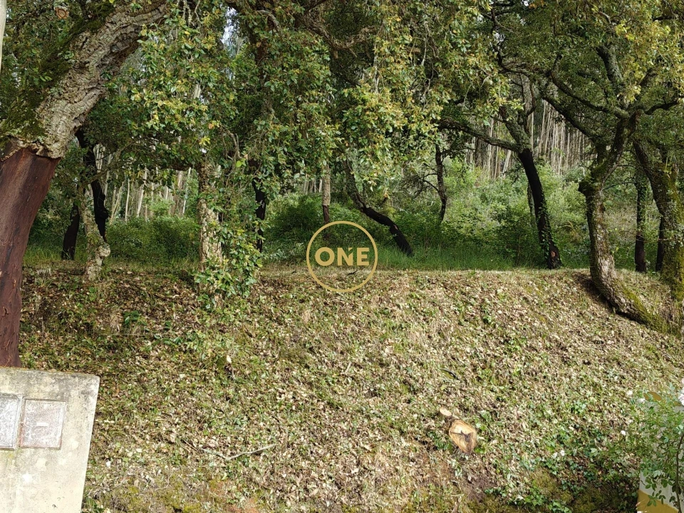 Terreno para Venda em Enxara do Bispo, Gradil e Vila Franca do Rosário Foto 20