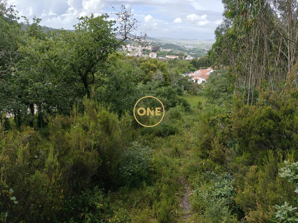 Terreno para Venda em Enxara do Bispo, Gradil e Vila Franca do Rosário Foto 19