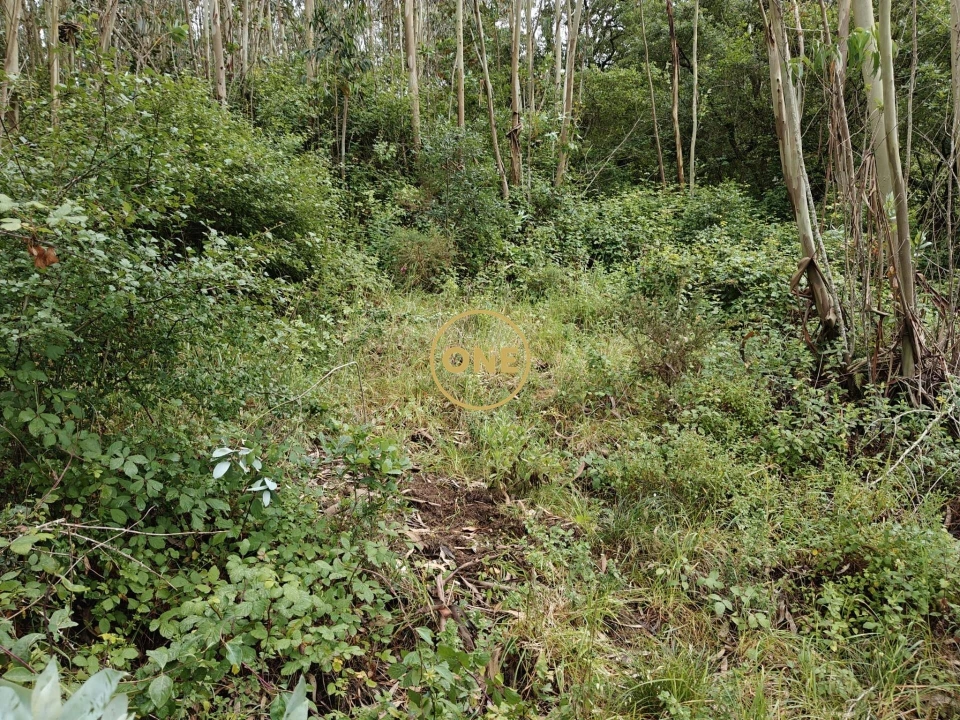 Terreno para Venda em Enxara do Bispo, Gradil e Vila Franca do Rosário Foto 17