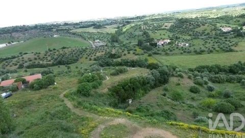 Terreno para Venda em Torres Novas (São Pedro), Lapas e Ribeira Branca