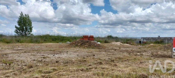 Terreno para Venda em Torres Novas (São Pedro), Lapas e Ribeira Branca