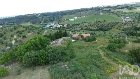 Terreno para Venda em Torres Novas (São Pedro), Lapas e Ribeira Branca