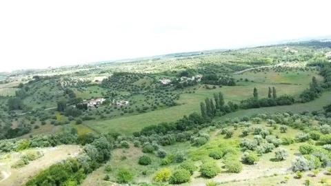 Terreno para Venda em Torres Novas (São Pedro), Lapas e Ribeira Branca