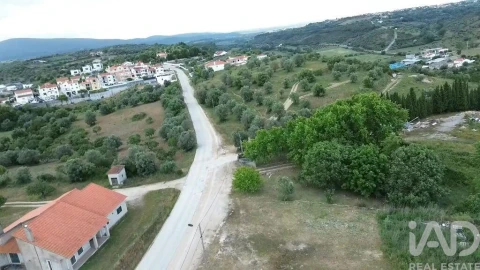 Terreno para Venda em Torres Novas (São Pedro), Lapas e Ribeira Branca