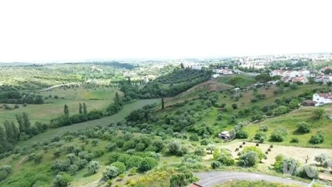 Terreno para Venda em Torres Novas (São Pedro), Lapas e Ribeira Branca