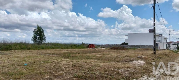 Terreno para Venda em Torres Novas (São Pedro), Lapas e Ribeira Branca