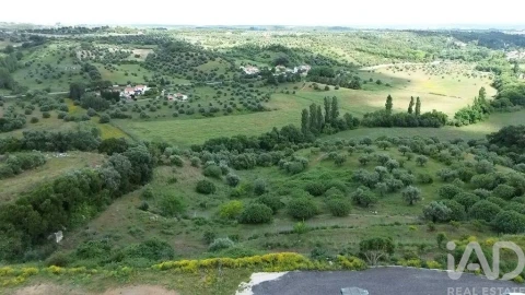 Terreno para Venda em Torres Novas (São Pedro), Lapas e Ribeira Branca